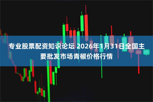专业股票配资知识论坛 2026年1月31日全国主要批发市场青椒价格行情