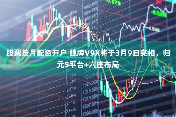 股票按月配资开户 魏牌V9X将于3月9日亮相，归元S平台+六座布局